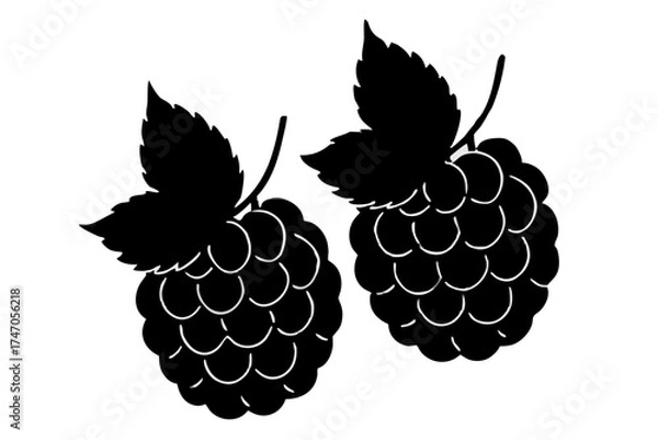Obraz Sweet and fresh blackberry and raspberry illustration on a green leaf pattern for summer fruit design