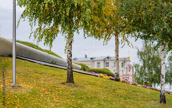 Fototapeta view of the park