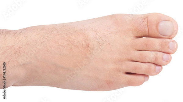 Obraz feet