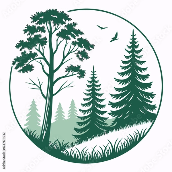 Fototapeta Green pine forest scene in circle evergreen trees coniferous trees