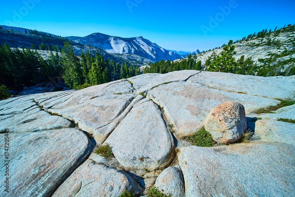 Fototapeta Olmsted Point Granite Half Dome and Pine Forest in Yosemite National Park