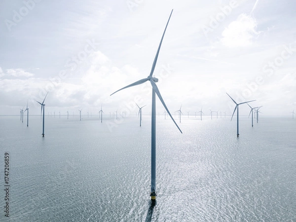Fototapeta Offshore Wind Farm Under Serene Skies
