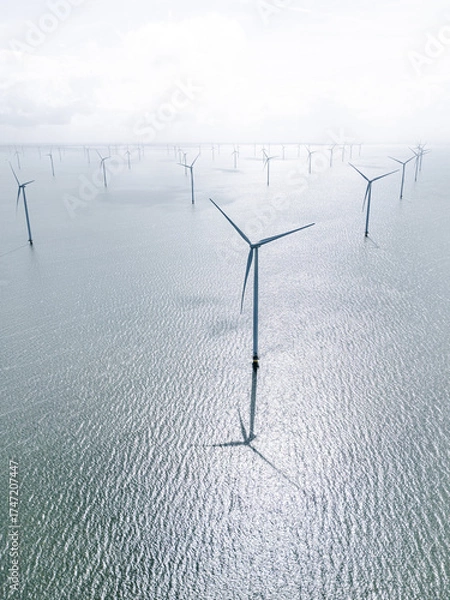 Fototapeta Offshore Wind Farm Under Serene Skies