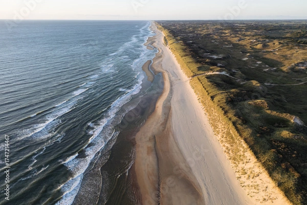 Fototapeta Aerial View of Serene Coastal Beach with Ocean Waves and Grassy Terrain