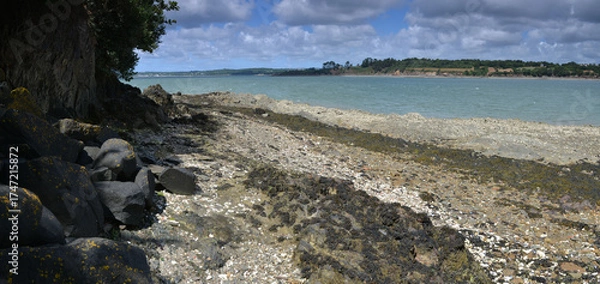 Fototapeta Vue panoramique sur une côte de la rade de Brest en Bretagne, joli ciel et paysage d'été.