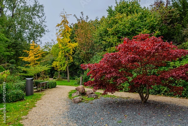 Fototapeta Wonderful autumn views of Amstelpark. Amstelpark located between Amstel and Europaboulevard. Amstelpark is one of two most popular parks in Amsterdam. Amsterdam, the Netherlands.