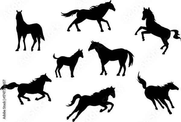 Obraz 馬のシルエットイラスト素材