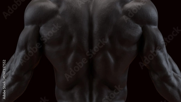 Fototapeta The Human Body for Science or medical concept 3d Rendering.