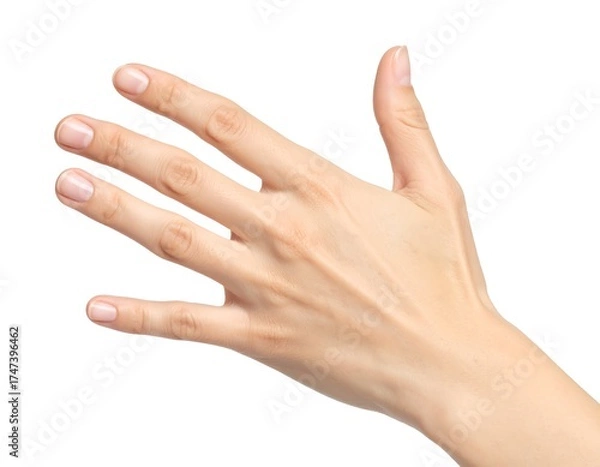 Fototapeta A light-skinned hand open with manicured nails against a white background