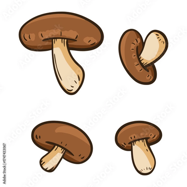 Fototapeta mushroom-29