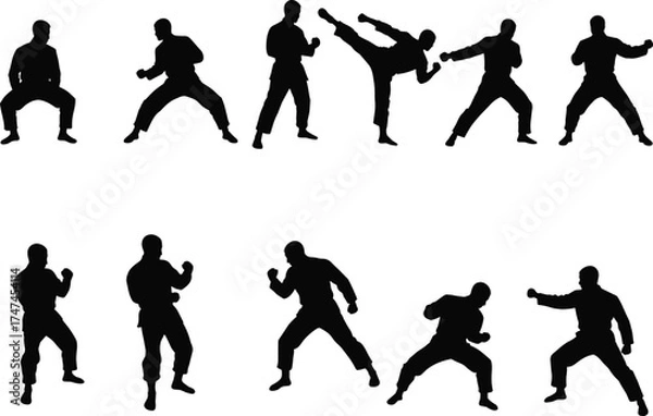 Fototapeta Martial arts silhouette collection of men fighting, kicking, and training in combat poses, karate, kung fu, taekwondo stances vector illustration