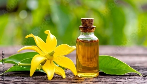 Obraz A glass bottle of amber liquid with a cork stopper sits beside a vibrant yellow flower and green leaves on a wooden surface with blurry green foliage in the background
