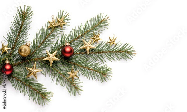 Obraz Festive Pine Branch with Ornaments