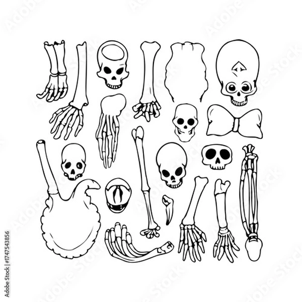 Fototapeta Eerie Halloween Sketches featuring Anatomical Bone Illustrations in Black and White ink design for