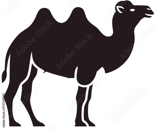 Fototapeta Flat vector camel silhouette with simple lines, plain white background.