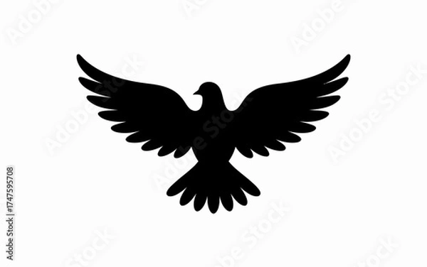 Obraz eagle in flight