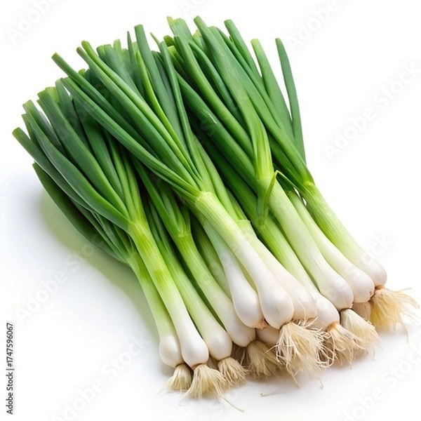 Obraz Scallions with Roots Tied in Bundles on White green onions