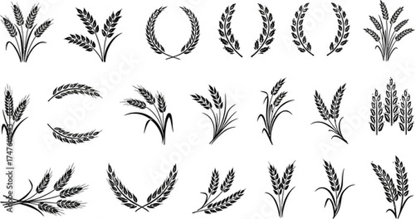 Fototapeta Stunning collection of elegant wheat and grain elements, perfect for branding agricultural products, bakery logos, and harvest celebrations.