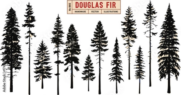 Fototapeta Beautiful Douglas fir trees silhouettes for nature lovers, perfect for elegant backgrounds, rustic designs, and evoking a peaceful forest atmosphere