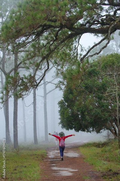 Fototapeta A woman is happily walking through a misty mountain forest along the path.