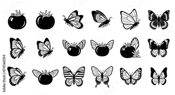 Fototapeta Monochrome whimsical collection of tomatoes combined with butterfly elements in vector format