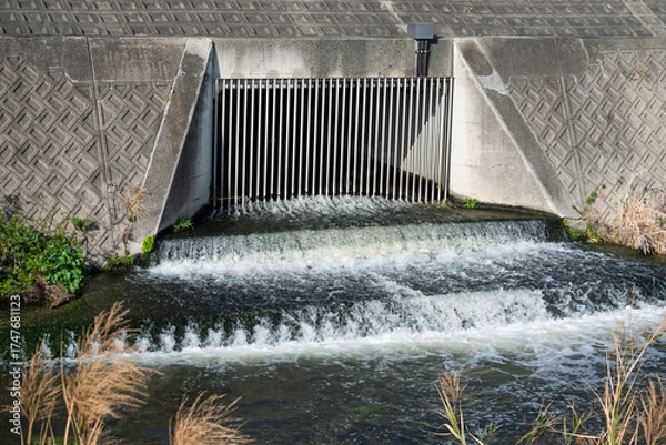 Obraz 下水処理場排水放流口