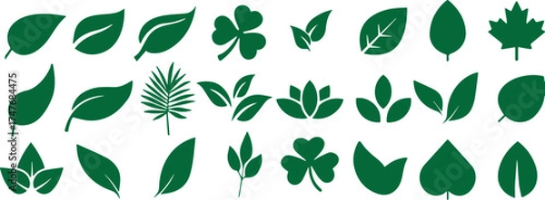Fototapeta A vector illustration set of green leaves, grass, and foliage icons for natural summer and spring floral design patterns