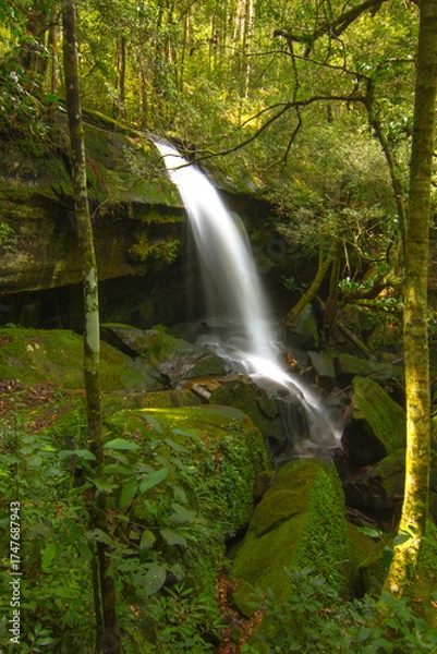 Fototapeta The large cave waterfall at Phu Kradueng National Park in Thailand