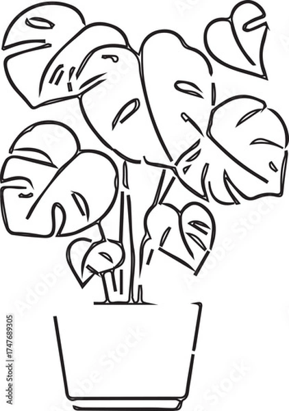 Fototapeta Vector illustration of a green potted plant with leaves and a flower, symbolizing spring growth and nature's life cycle