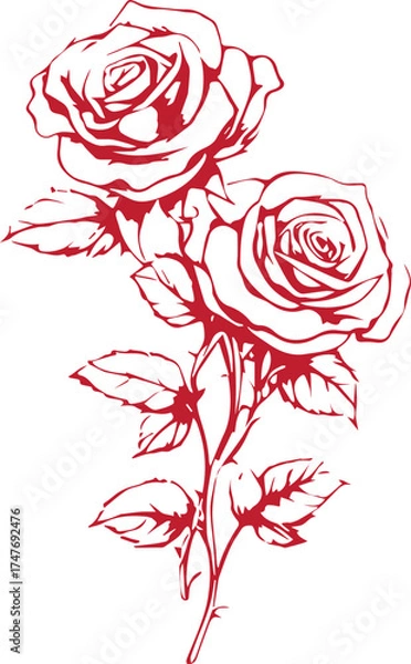 Fototapeta Vector illustration of a seamless red rose floral pattern design