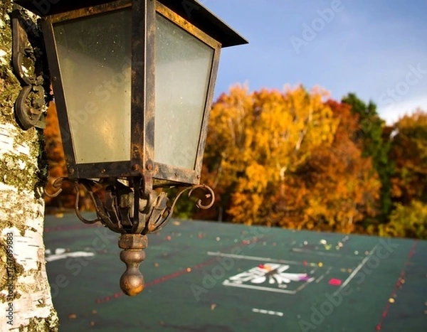 Obraz Autumnal lamp post