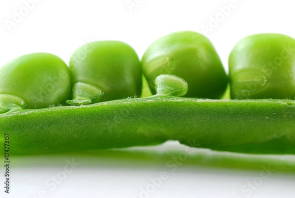 Obraz Pea in a Pod