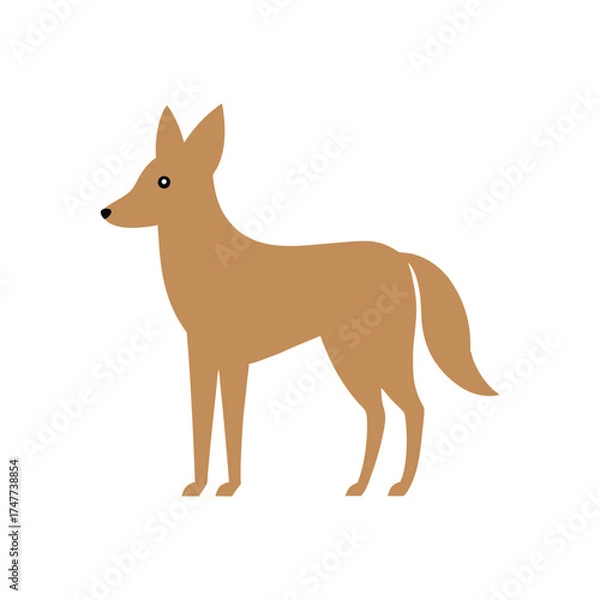Obraz dhole vector art