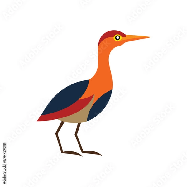 Obraz sun bittern vector art