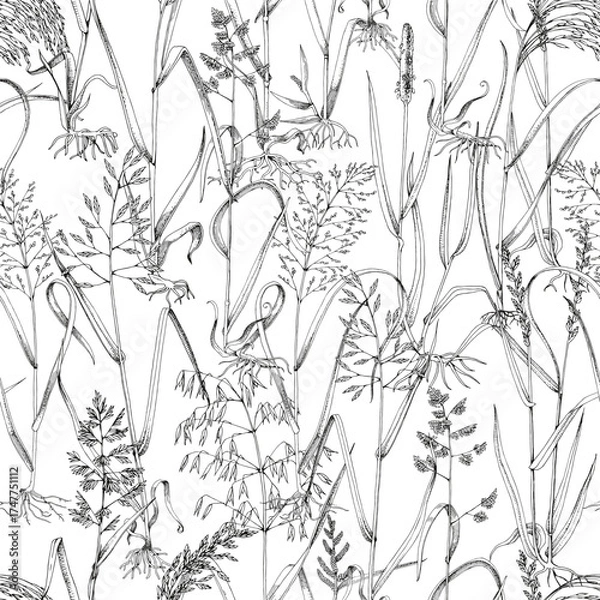 Fototapeta Wild grasses seamless pattern vector
