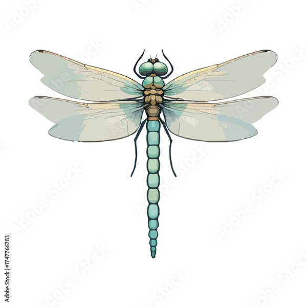 Obraz Dragonfly