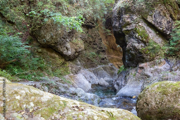 Fototapeta マイナスイオンたっぷりの滝と渓谷