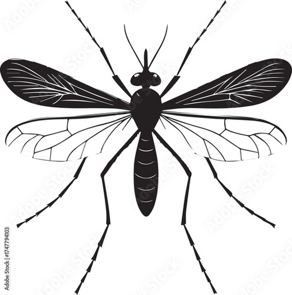 Obraz mosquito vector illustration with insect silhouette