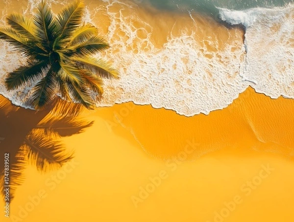 Obraz Aerial View Tropical Palm Tree Beach Ocean Waves Golden Sand Summer Vacation