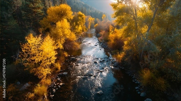 Fototapeta A narrow river winding through golden autumn trees with leaves drifting gently on the current