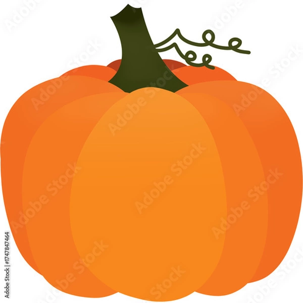 Obraz Pumpkin vegetable on isolated transparent background