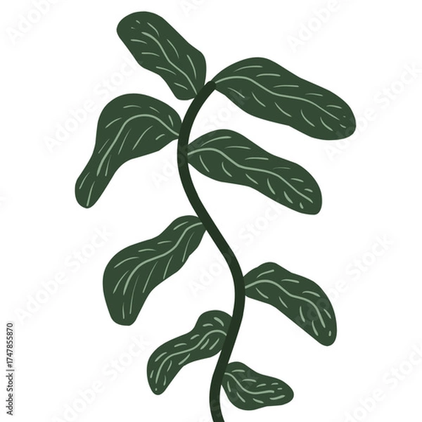 Fototapeta Minimalist botanical illustration of a green leafy vine. Modern flat design with simple shapes and natural tones, perfect for wall art, home decor, eco-themed graphics