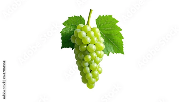 Fototapeta A bunch of green grapes with leaves against a stark black background