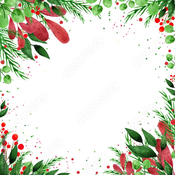 Fototapeta Winter, Christmas postcard and template red and green colors of a watercolor postcard on a white background. Watercolor berries, spruce branches, green leaves painted by hand. Square frame, invitation