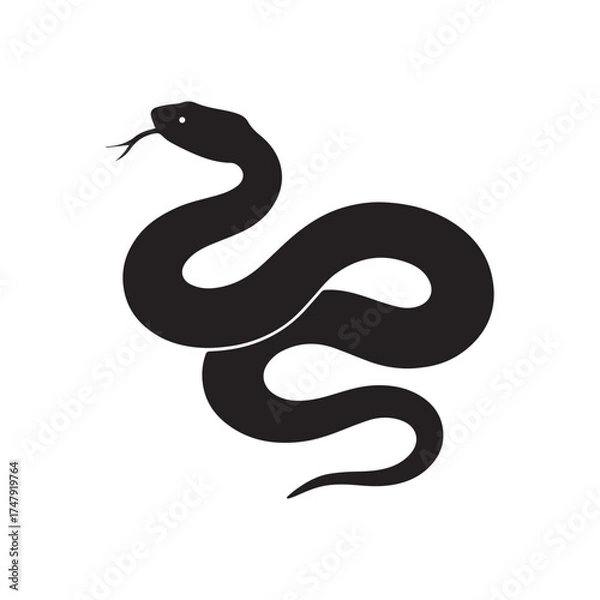 Obraz snake vector illustration