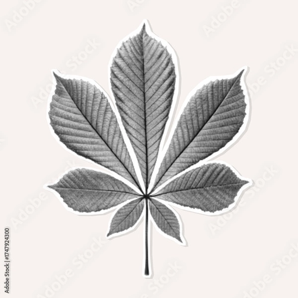 Fototapeta Halftone chestnut leaf sticker for botanical design, zine layouts, collages, and retro style mixed media projects.