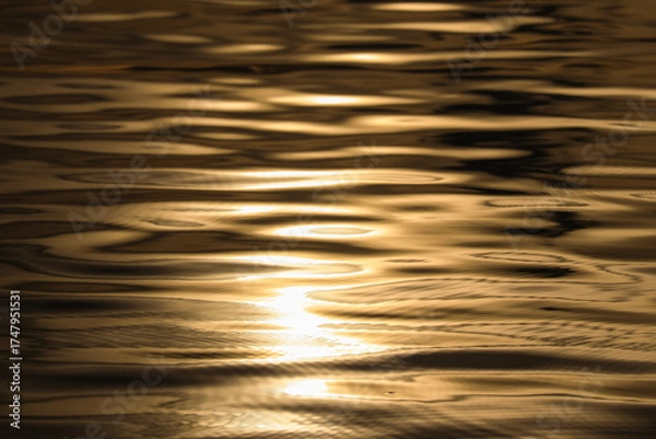 Obraz golden water surface