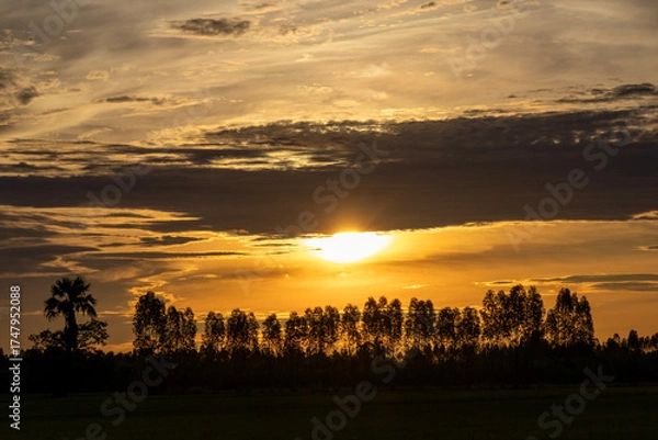 Obraz sunset over the field