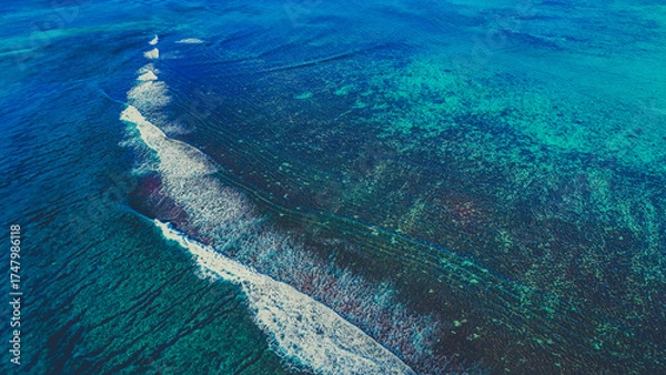 Obraz Barrière de corail 