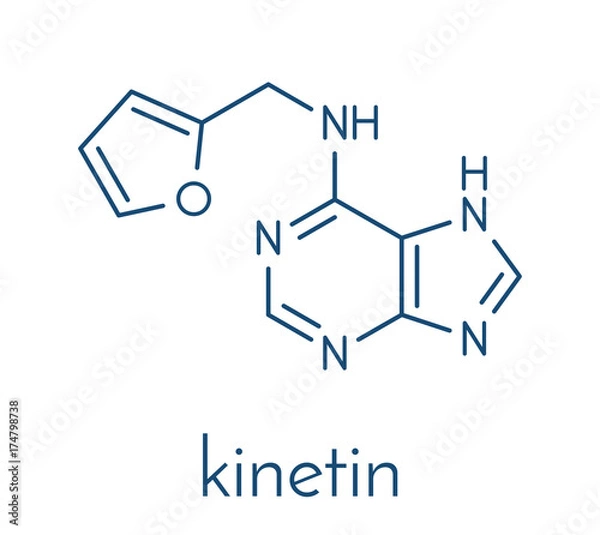 Fototapeta Kinetin (N6-furfuryladenine) plant hormone molecule. Promotes cell division in plants. Used in skin care and cosmetics for supposed anti-aging properties. Skeletal formula.